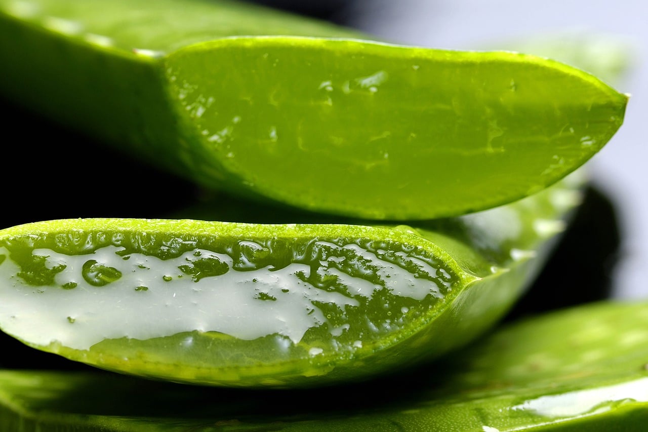 Vhody Aloe Vera pre vau pokoku