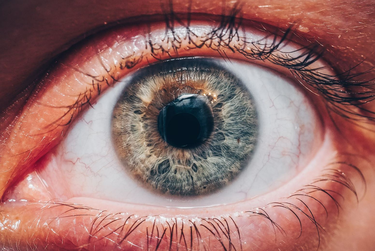 Oko-sama Box Scan Vf